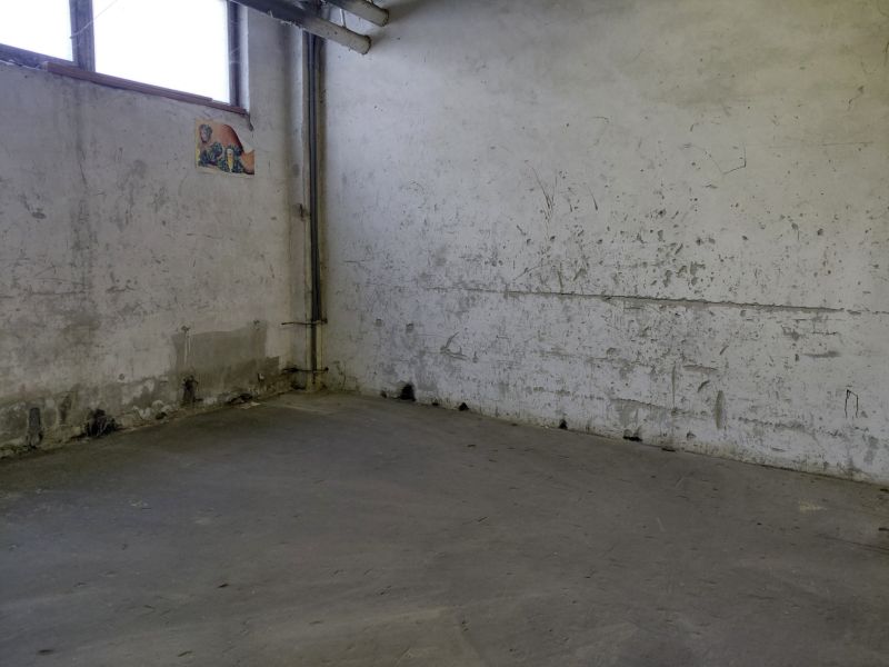 Tomas38B.jpg