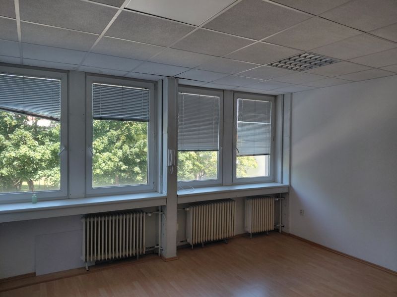 pluh43d.jpg