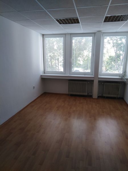 pluhova42,6a.jpg