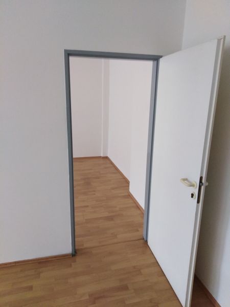 pluhova42,6c.jpg